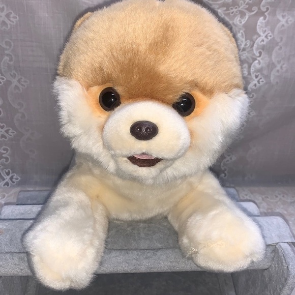 Gund Boo The World's Cutest Dog plush stuffed animal Pomeranian 15" - Picture 8 of 8
